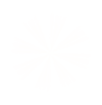 Logo Star Background Rotating