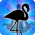 Flamingo Zodiac