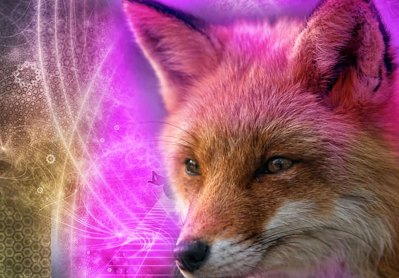 Fox Spirit Animal